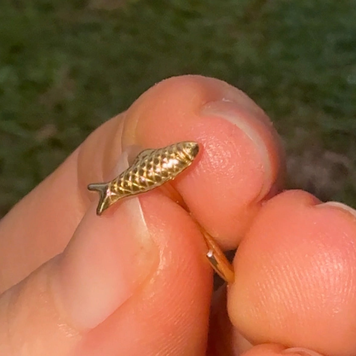 Orecchini comodi Sardina