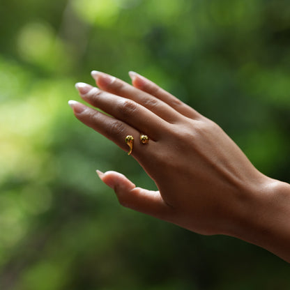 Anello Cascara