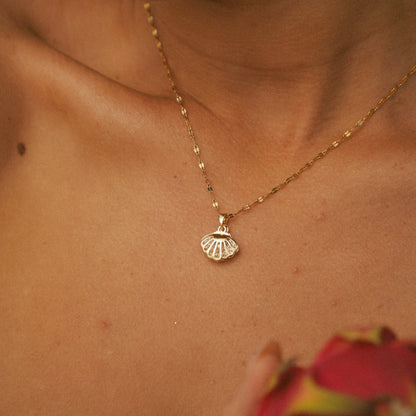 Collana Waikiki con conchiglia (Set)